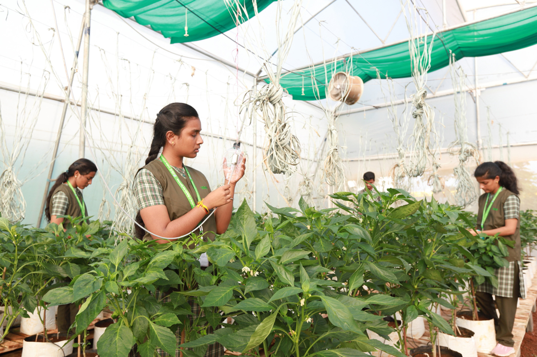 Agriculture Sciences
